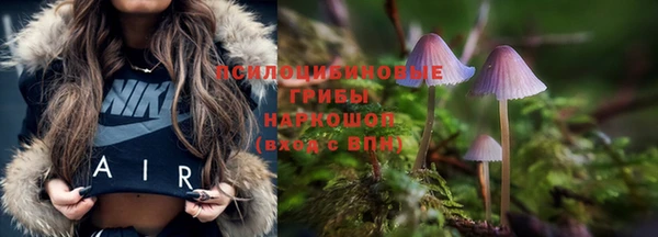 apvp Балабаново