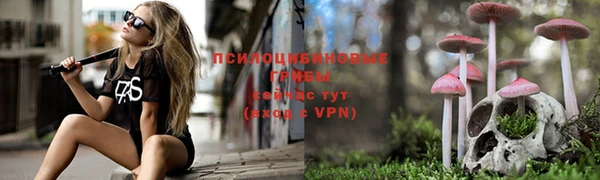 apvp Балабаново