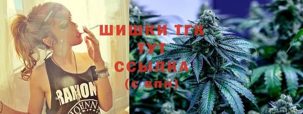 амф Снежногорск