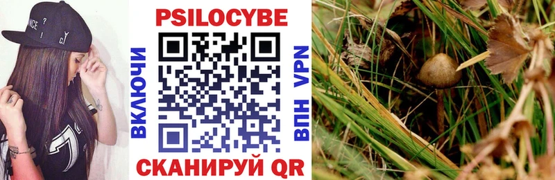 Галлюциногенные грибы Cubensis  Свирск 